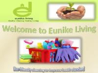 Eunike Living - Spring Cleaning Services image 7